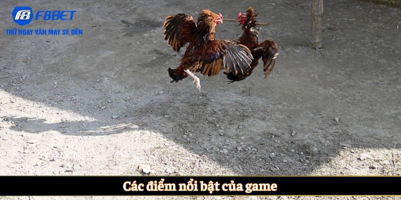 Các điểm nổi bật của game