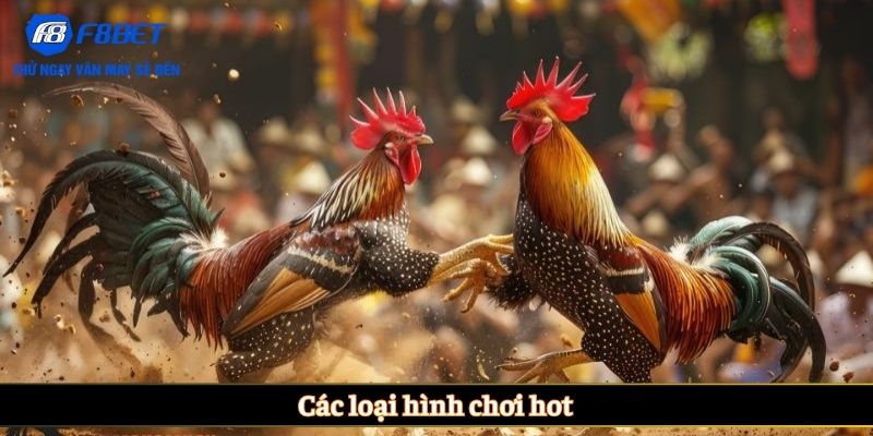 Các loại hình chơi hot