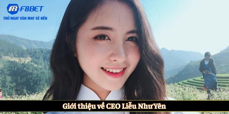 Giới thiệu về CEO Liễu Như Yên