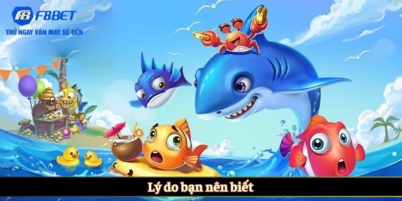 Lý do bạn nên biết