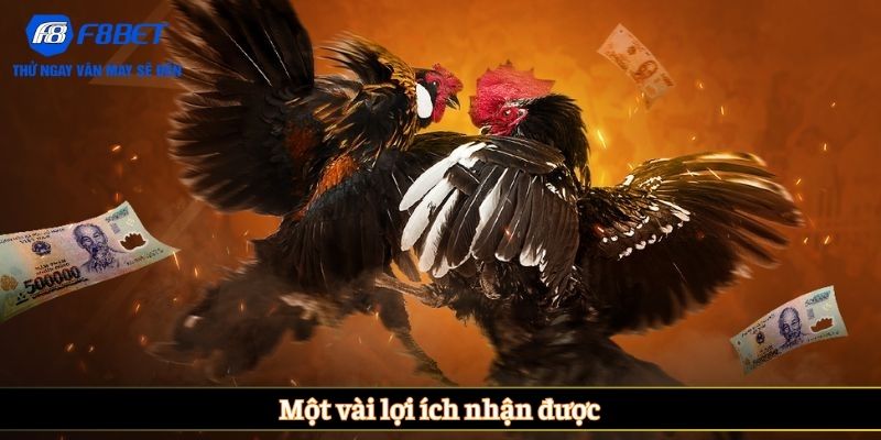 Một vài lợi ích nhận được