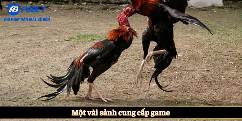 Một vài sảnh cung cấp game