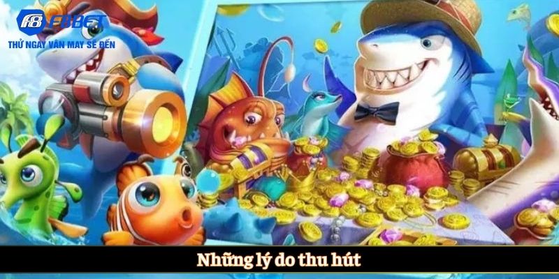 Những lý do thu hút