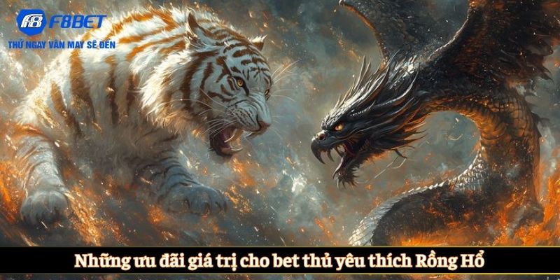 Những ưu đãi giá trị cho bet thủ yêu thích Rồng Hổ